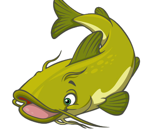 a cute catfish